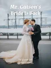 Read Mr. Gatson’s Bride Is Back Light Novel Online