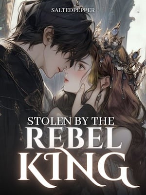 Read Stolen by the Rebel King Light Novel Online