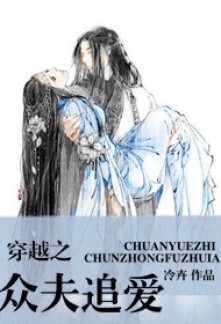 Read Crossing the Crowd to Chase Love Light Novel Online