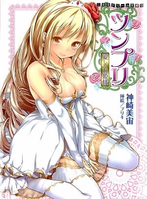 Read Tsunpri: Aishite Ohimesama Light Novel Online