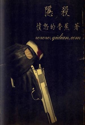 Read Hidden Assassin Light Novel Online