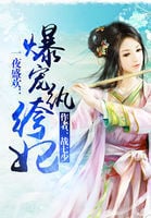 Read The Anarchic Consort Light Novel Online