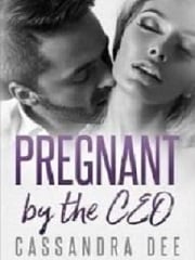 Read Pregnant With CEO's Baby Light Novel Online