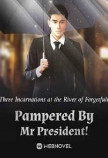 Read Pampered By Mr President! Light Novel Online