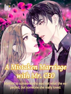 Read A Mistaken Marriage with Mr. CEO Light Novel Online