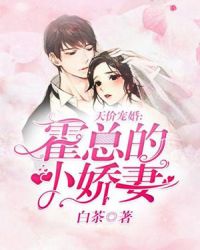 Read Mr. Huo's Expensive Cute Wife Light Novel Online