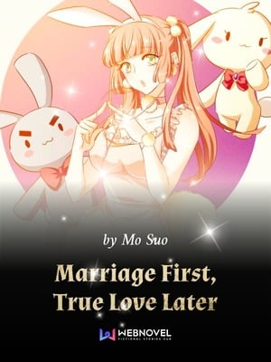 Read Marriage First, True Love Later Novel Light Novel Online