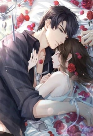 Read Mr Indifferent CEO, Be Careful With My Heart Light Novel Online