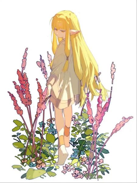 Read Frieren: The Founder and the Elf Who Didn't Understand Love Light Novel Online