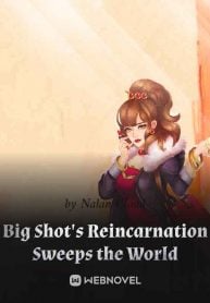 Read Big Shot's Reincarnation Sweeps the World Light Novel Online