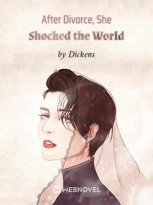 Read After Divorcing, She Shocked the World Light Novel Online