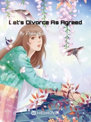 Read Let's Divorce As Agreed Light Novel Online