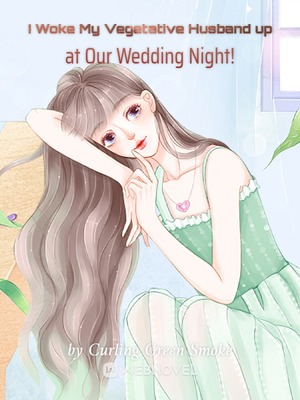 Read I Woke My Vegetative Husband up at Our Wedding Night! Light Novel Online