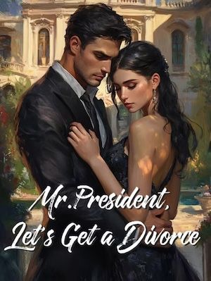 Read Mr.President, Let's Get a Divorce Light Novel Online