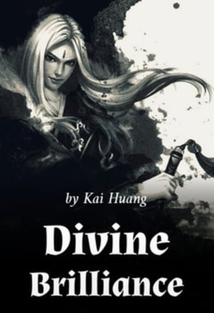 Read Divine Brilliance Light Novel Online