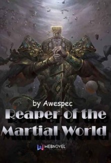 Read Reaper of the Martial World Light Novel Online