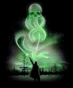 Read In the Harry Potter Without Harry Potter Light Novel Online