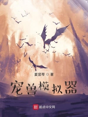 Read Pet Simulator Light Novel Online