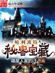 Read Harry Potter and the Secret Treasures Light Novel Online