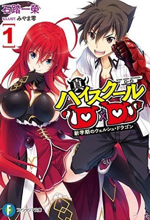 Read Shin High School DxD Light Novel Online