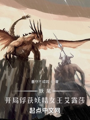 Read Fairy Tail: Collapsing Stars Light Novel Online