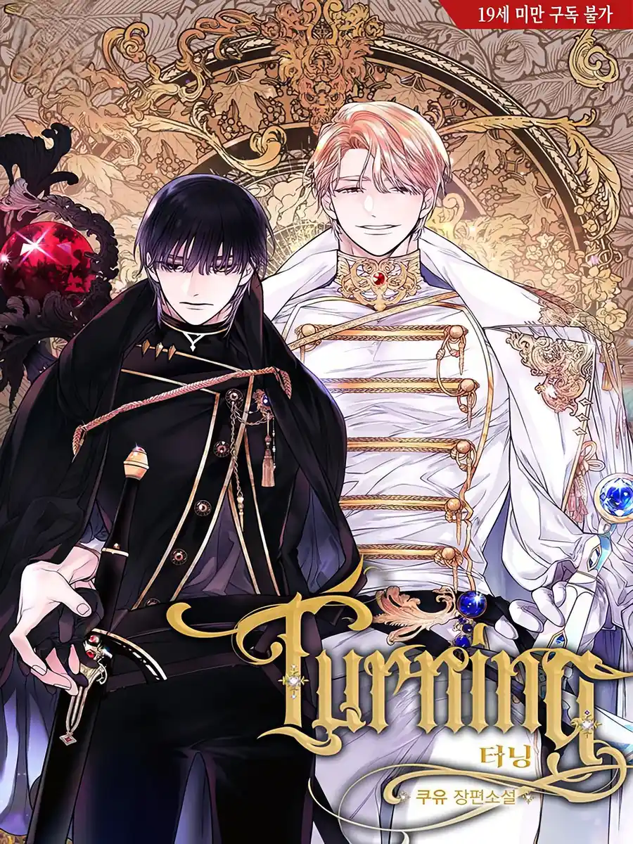 Read Turning Light Novel Online
