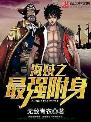 Read One Piece: The Soul Purchasing Pirate Light Novel Online