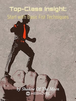 Read Top-Class Insight: Start with Basic Fist Techniques Light Novel Online