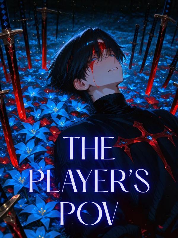 Read The Player's POV Light Novel Online