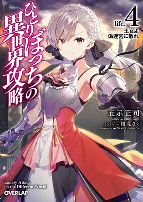 Read The Loner Who Conquers the Other World Light Novel Online