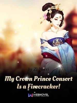 Read My Crown Prince Consort Is a Firecracker! Light Novel Online