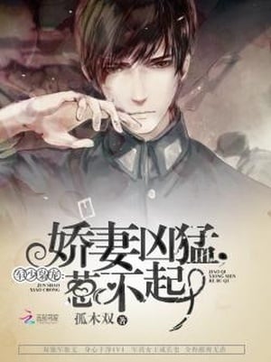 Read Wife is Fierce, Don't Mess With Her! Light Novel Online