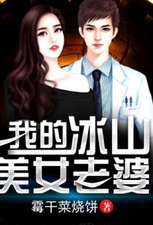 Read My Cold and Beautiful Wife Light Novel Online