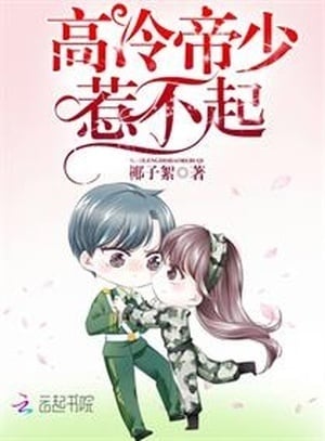 Read Beware Mr. Officer, Tread Carefully! Light Novel Online