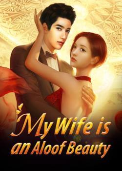 Read My Wife is an Aloof Beauty Light Novel Online