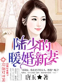 Read A Warm Wedding and A New Bride of Young Master Lu Light Novel Online