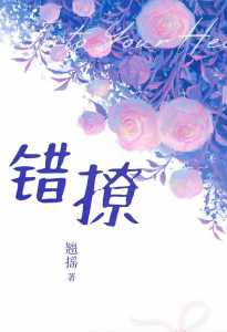 Read Accidental Love Light Novel Online