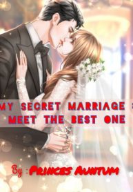 Read My Secret Marriage : Meet With The Best One Light Novel Online