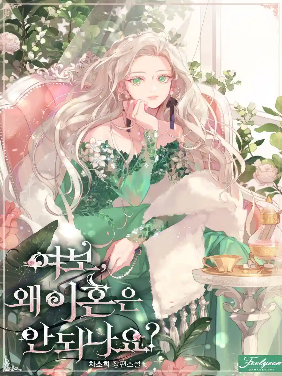 Read Honey, Why Can’t We Get a Divorce? Light Novel Online