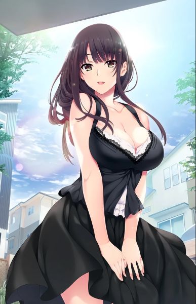 Read Senior Sister, Shut Up! Light Novel Online