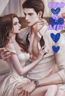 Read THE CEO AND ME! Light Novel Online