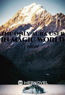 Read The Only Aura User In Magic World Light Novel Online