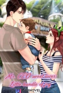 Read Mr. CEO sweet lover: Little bundle of joy Light Novel Online