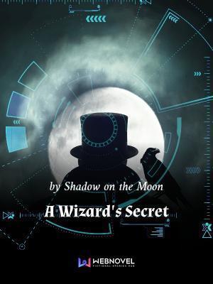 Read A Wizard's Secret Light Novel Online