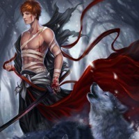 Read Shadow Rogue Light Novel Online