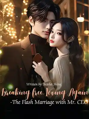 Read Breaking Free, Loving Again -The Flash Marriage with Mr. CEO Light Novel Online
