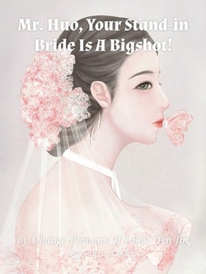 Read Mr. Gu, Your Replacement Bride Is A Big Shot! Light Novel Online