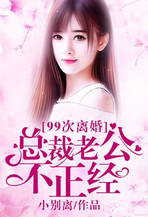 Read The 99th Divorce Light Novel Online