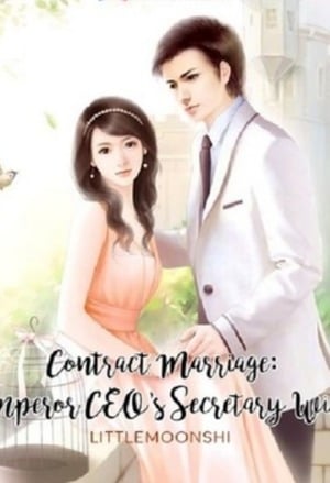 Read Contract Marriage: Emperor CEO's Secretary Wife Light Novel Online