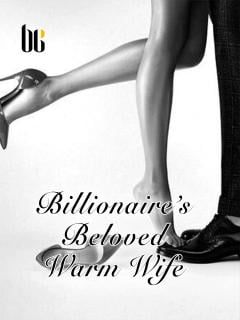 Read Billionaire's Beloved Warm Wife Light Novel Online